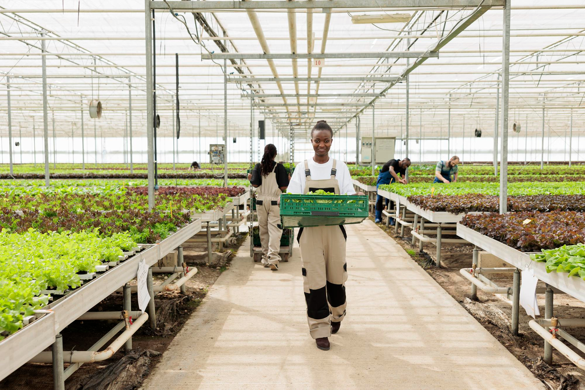 Farmer Empowerment