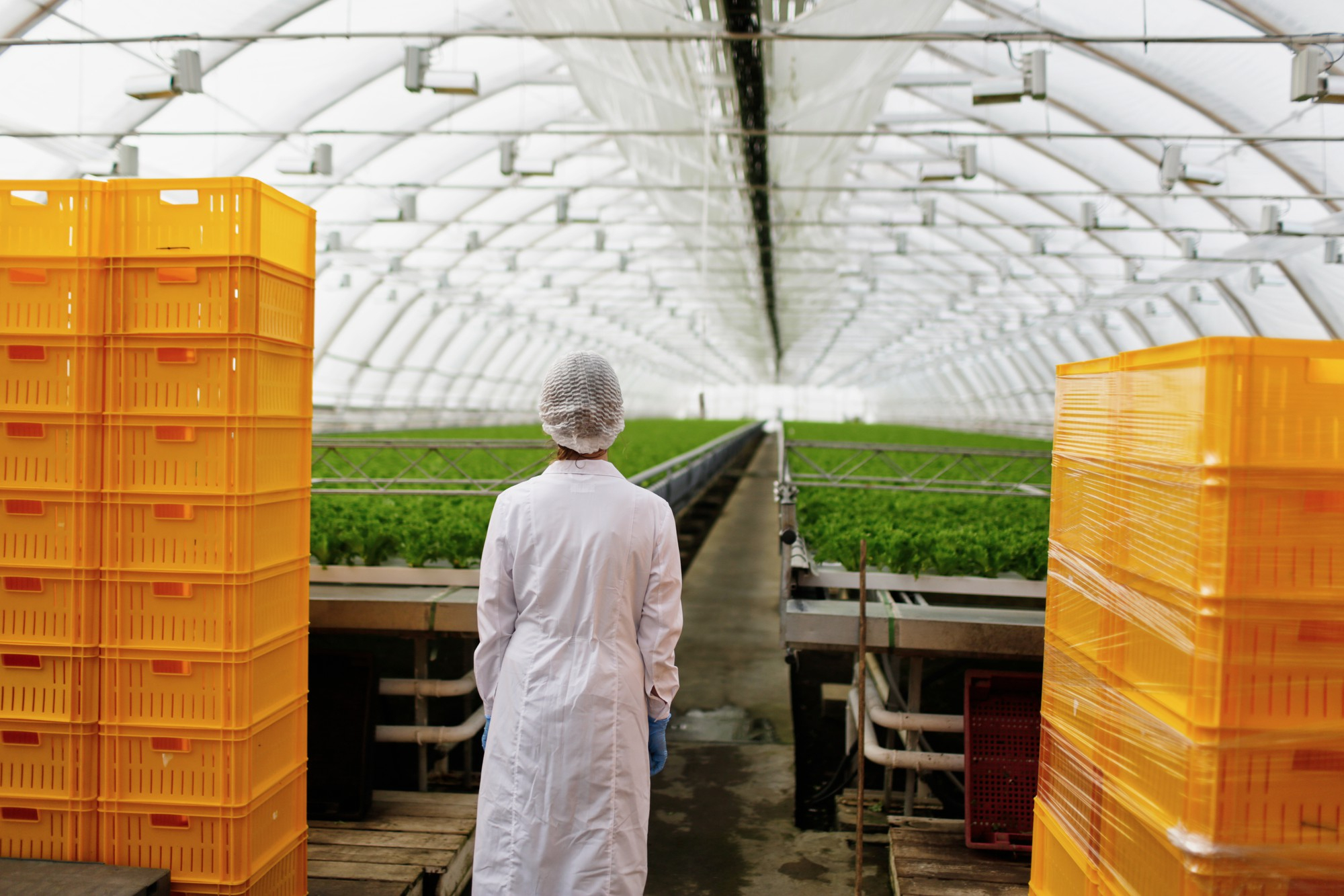 The Rise of Technology in Modern Farming